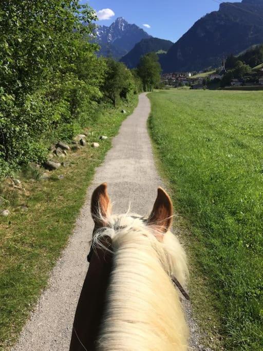 Ferienhaus Zillertal Panorama Blick Balkon Sauna Zellberg エクステリア 写真
