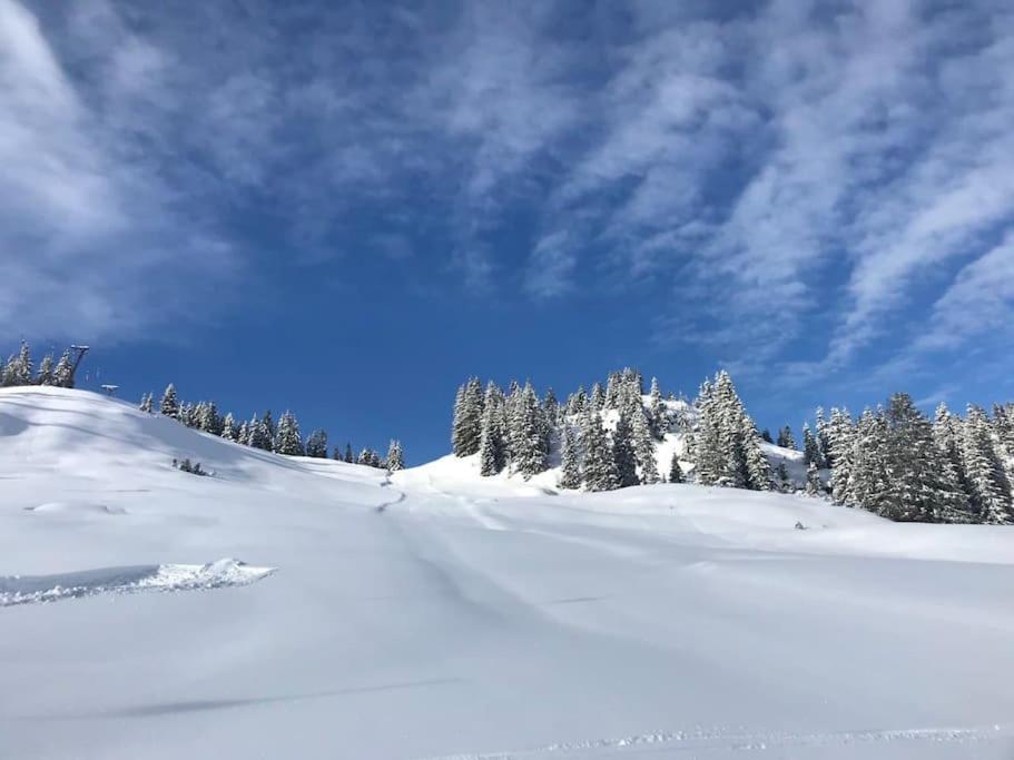 Ferienhaus Zillertal Panorama Blick Balkon Sauna Zellberg エクステリア 写真
